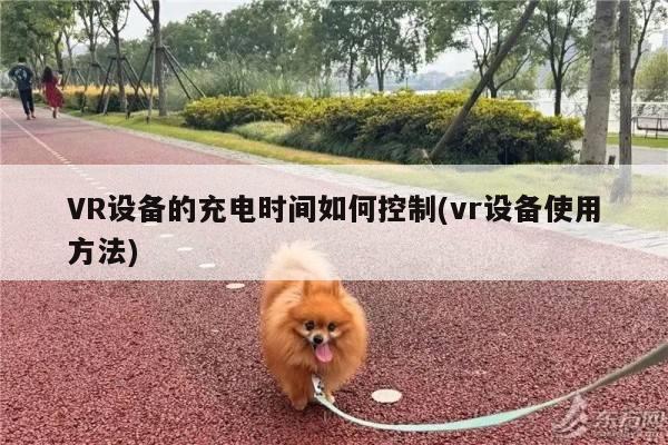 vwin网上官网_VR设备的充电时间如何控制(vr设备使用方法)