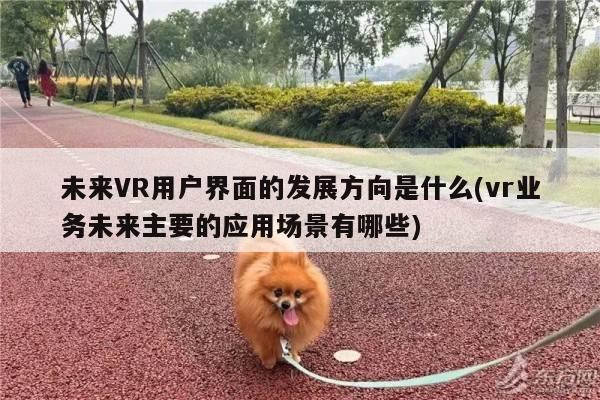 未来VR用户界面的发展方向是什么(vr业务未来主要的应用场景有哪些)：德赢vwin060