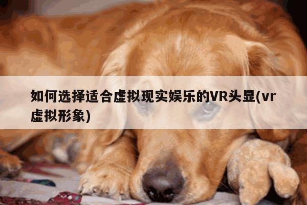 如何选择适合虚拟现实娱乐的VR头显(vr虚拟形象)|德赢官方