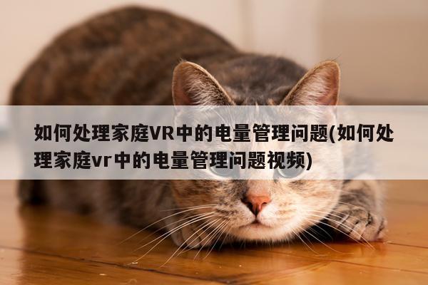 德赢vwin399_如何处理家庭VR中的电量管理问题(如何处理家庭vr中的电量管理问题视频)