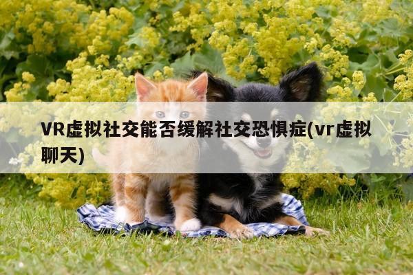 【vwin网上官网】VR虚拟社交能否缓解社交恐惧症(vr虚拟聊天)