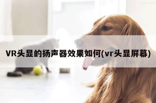 vwin网上官网-VR头显的扬声器效果如何(vr头显屏幕)