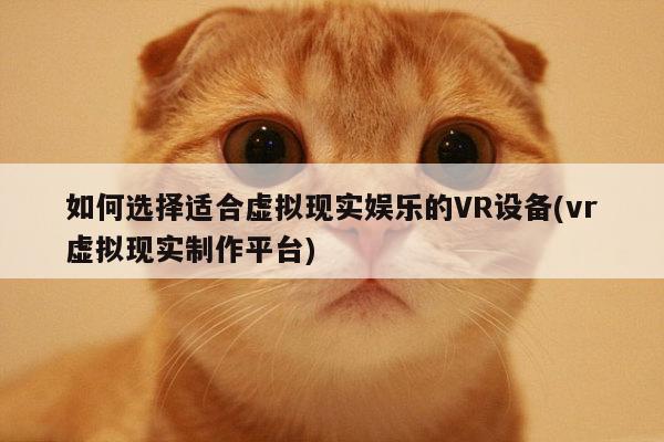 德赢vwin399-如何选择适合虚拟现实娱乐的VR设备(vr虚拟现实制作平台)