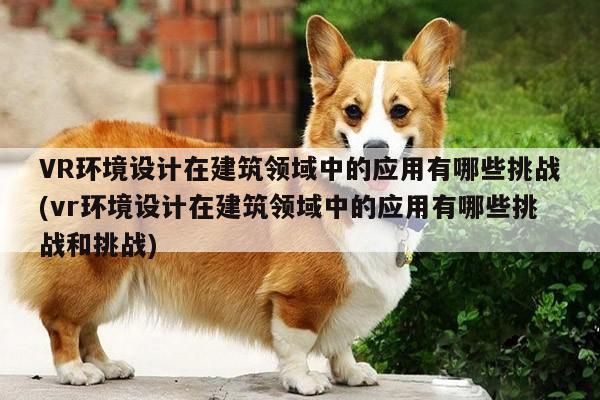 VR环境设计在建筑领域中的应用有哪些挑战(vr环境设计在建筑领域中的应用有哪些挑战和挑战)-德赢vwin399