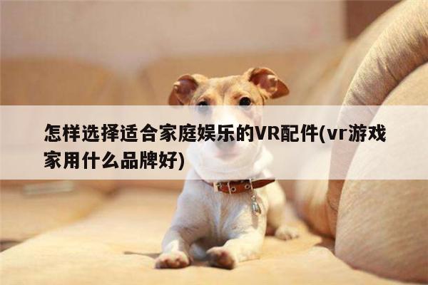 怎样选择适合家庭娱乐的VR配件(vr游戏家用什么品牌好)：vwin网上官网