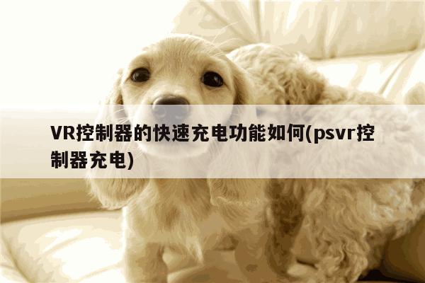 VR控制器的快速充电功能如何(psvr控制器充电)：vwin网上官网