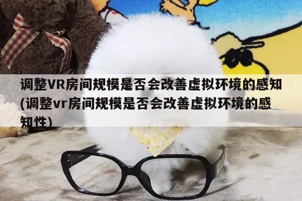 调整VR房间规模是否会改善虚拟环境的感知(调整vr房间规模是否会改善虚拟环境的感知性)|vwin网上官网