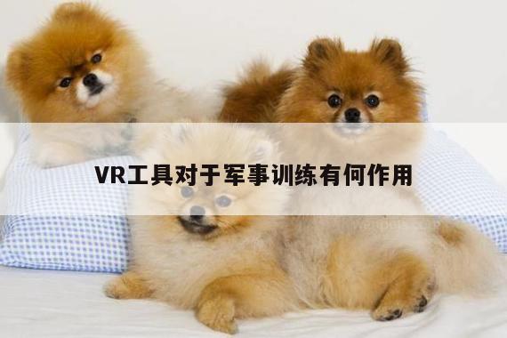 VR工具对于军事训练有何作用|vwin网上官网