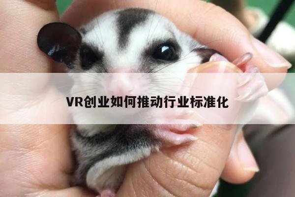 【德赢vwin399】VR创业如何推动行业标准化