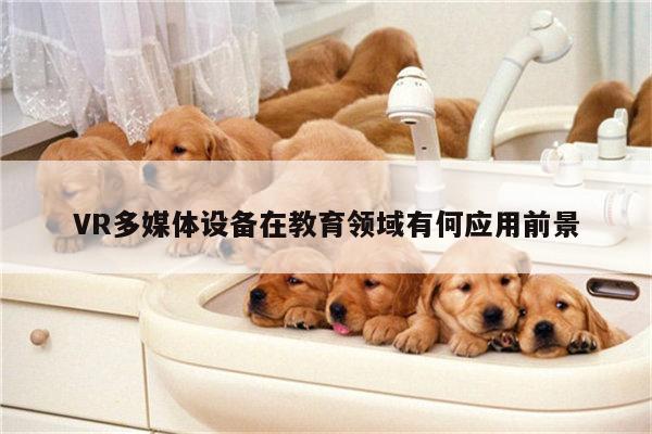 VR多媒体设备在教育领域有何应用前景：vwin网上官网