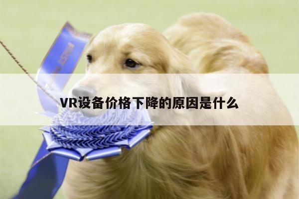 VR设备价格下降的原因是什么-德赢vwin060