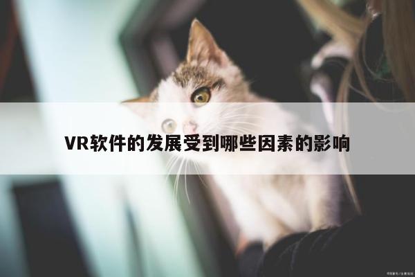 【德赢vwin060】VR软件的发展受到哪些因素的影响