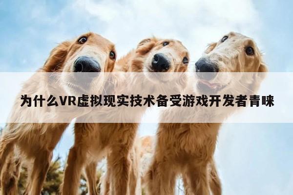 为什么VR虚拟现实技术备受游戏开发者青睐：德赢vwin060