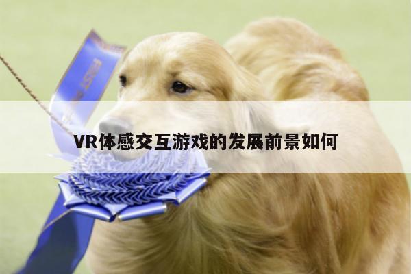 VR体感交互游戏的发展前景如何：德赢vwin399