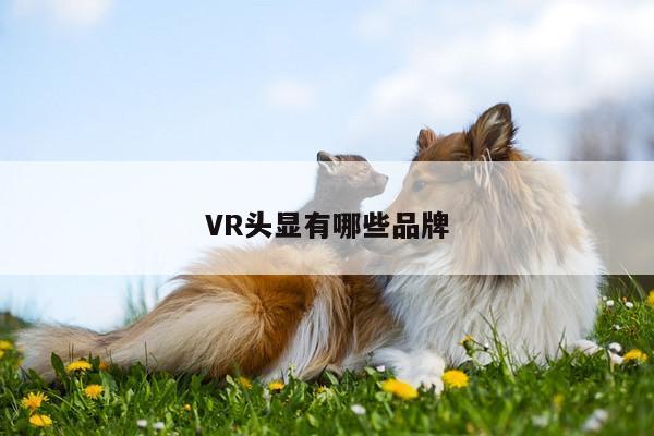 【vwin网上官网】VR头显有哪些品牌