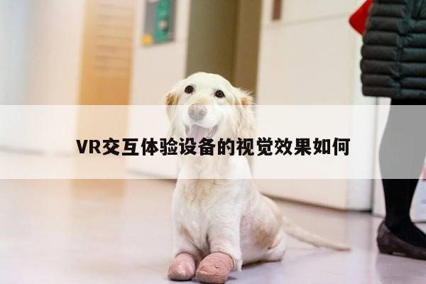 德赢vwin060：VR交互体验设备的视觉效果如何