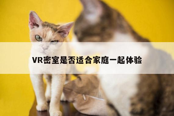 德赢vwin060|VR密室是否适合家庭一起体验