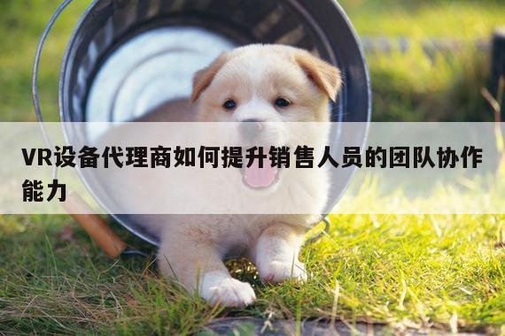 VR设备代理商如何提升销售人员的团队协作能力：vwin网上官网