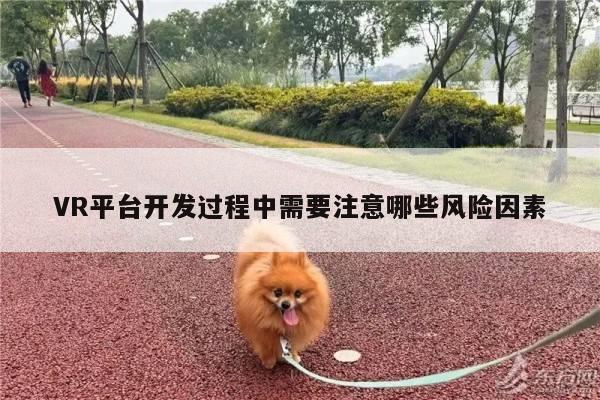 VR平台开发过程中需要注意哪些风险因素_vwin网上官网