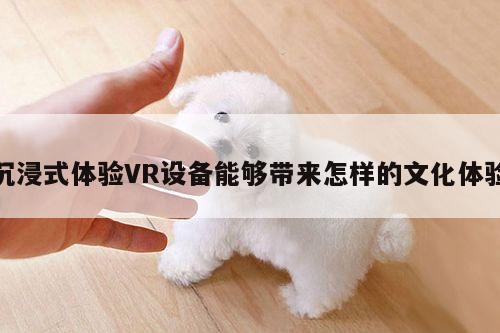 【德赢vwin399】沉浸式体验VR设备能够带来怎样的文化体验