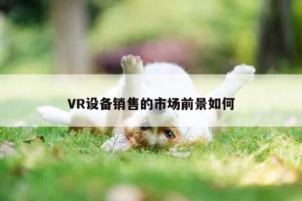 德赢vwin060_VR设备销售的市场前景如何