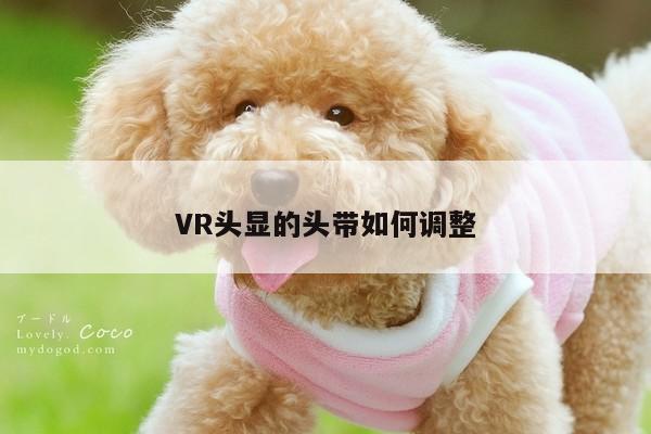 VR头显的头带如何调整_德赢vwin060