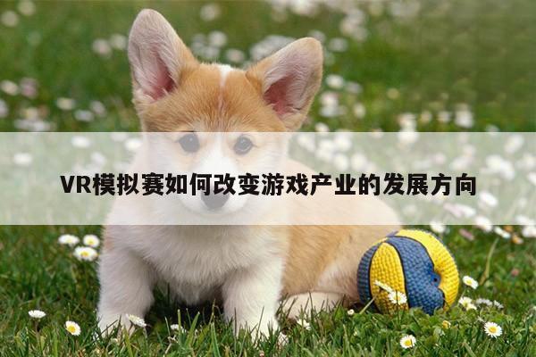 vwin网上官网_VR模拟赛如何改变游戏产业的发展方向