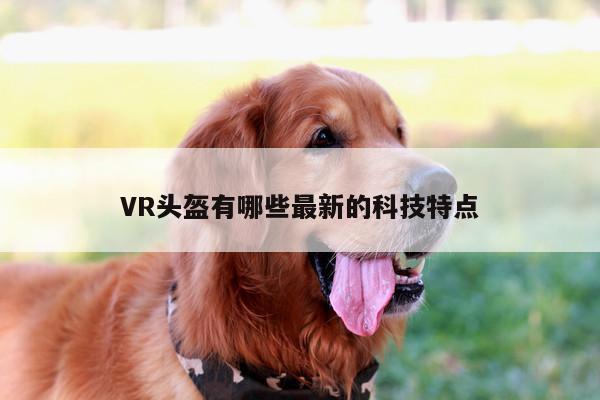 VR头盔有哪些最新的科技特点|德赢vwin060