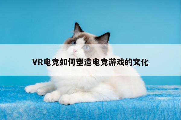 VR电竞如何塑造电竞游戏的文化【德赢vwin399】