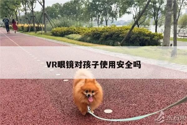 德赢vwin399-VR眼镜对孩子使用安全吗