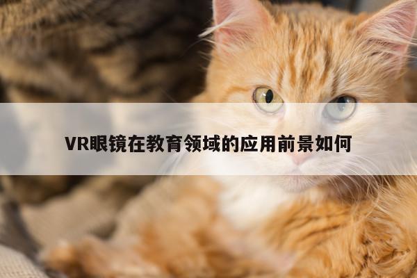 VR眼镜在教育领域的应用前景如何-vwin网上官网