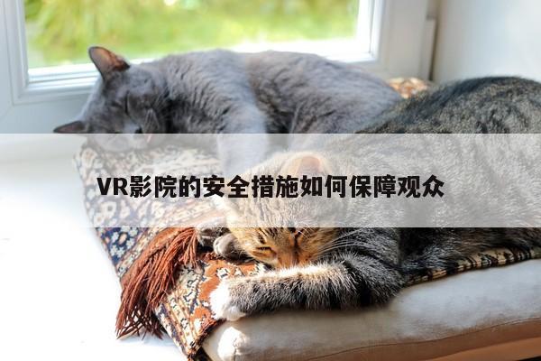 VR影院的安全措施如何保障观众-德赢vwin399