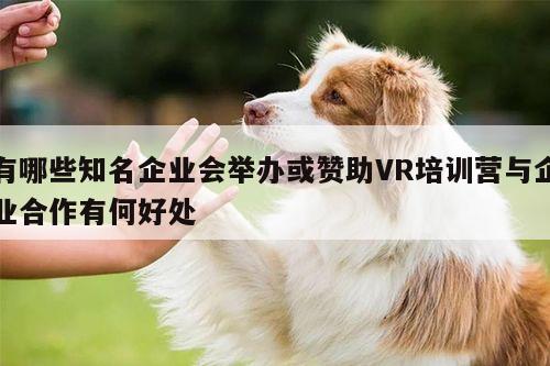 德赢官方-有哪些知名企业会举办或赞助VR培训营与企业合作有何好处