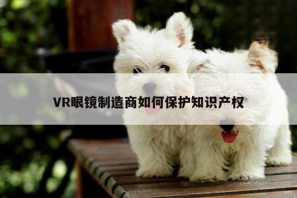 vwin网上官网|VR眼镜制造商如何保护知识产权