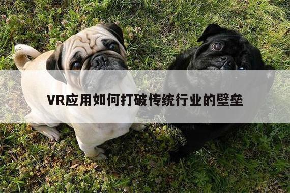 德赢官方：VR应用如何打破传统行业的壁垒