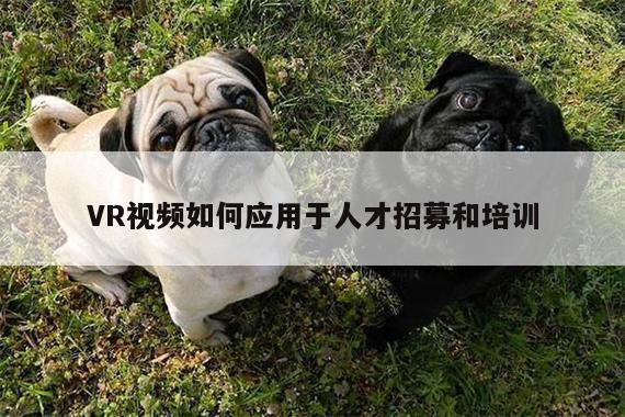 VR视频如何应用于人才招募和培训|vwin网上官网