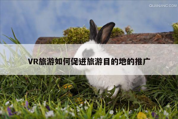 德赢官方：VR旅游如何促进旅游目的地的推广