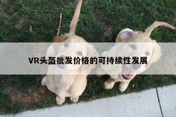 德赢官方：VR头盔批发价格的可持续性发展