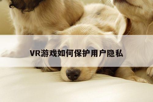 vwin网上官网：VR游戏如何保护用户隐私