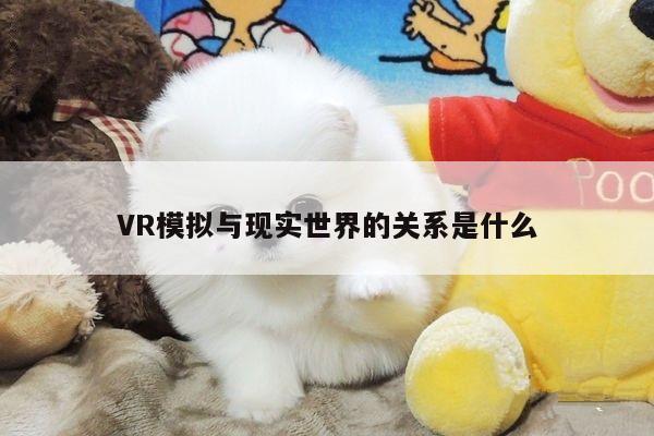 德赢vwin060-VR模拟与现实世界的关系是什么