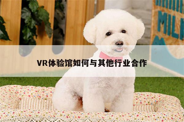 vwin网上官网|VR体验馆如何与其他行业合作