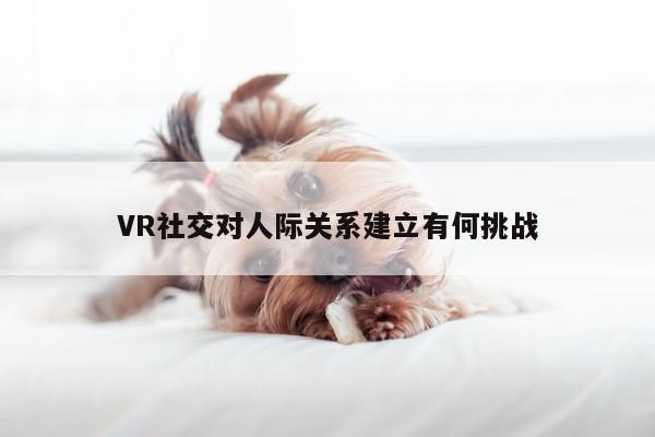 VR社交对人际关系建立有何挑战【vwin网上官网】