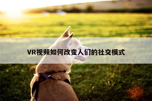 德赢vwin399-VR视频如何改变人们的社交模式