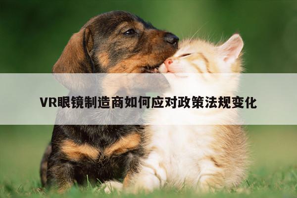 VR眼镜制造商如何应对政策法规变化_vwin网上官网