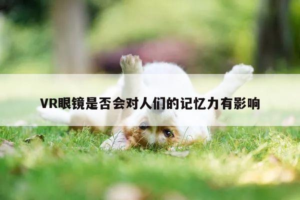 VR眼镜是否会对人们的记忆力有影响-vwin网上官网